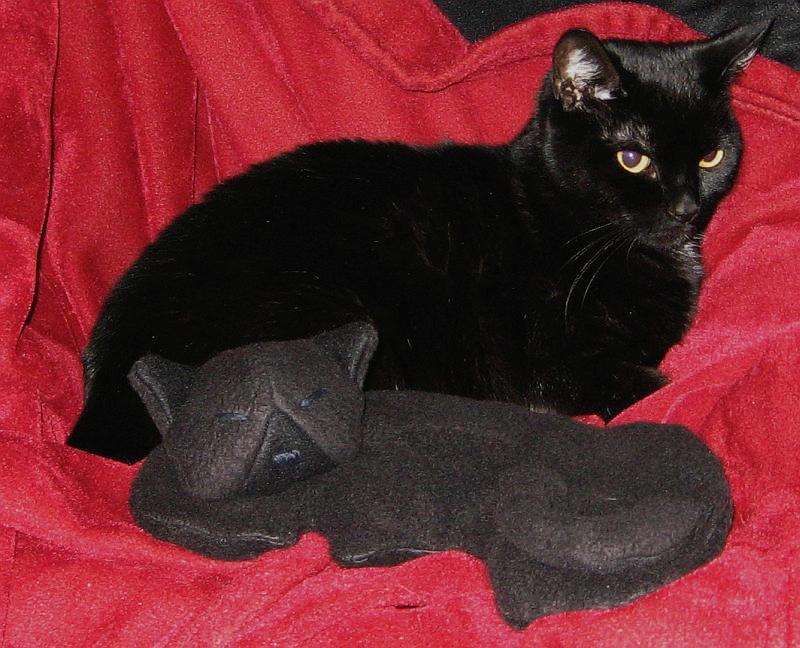 Black cat pillow
